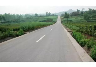 新建一二級公路擬禁止收費，公路管理與養護迎來新變革